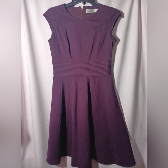 Elegant Purple Dress - Picture 1 of 9